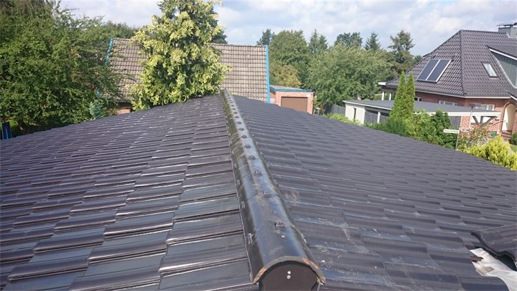 Eine Nahaufnahme eines Daches mit Bäumen im Hintergrund.