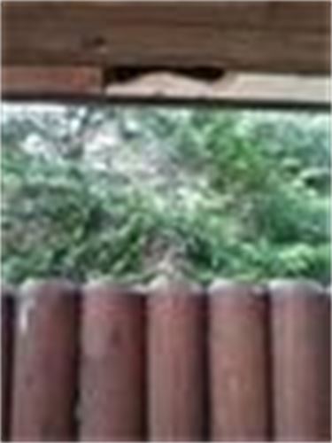 Eine Nahaufnahme von einem Holzzaun mit Bäumen im Hintergrund