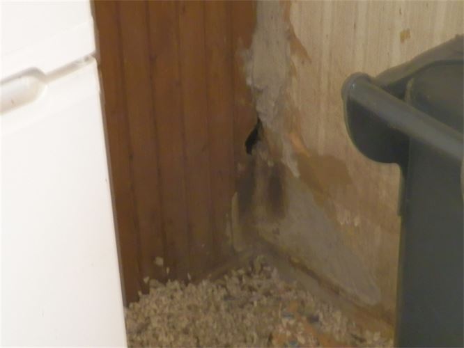 Ein Badezimmer mit Waschbecken und Holzwand