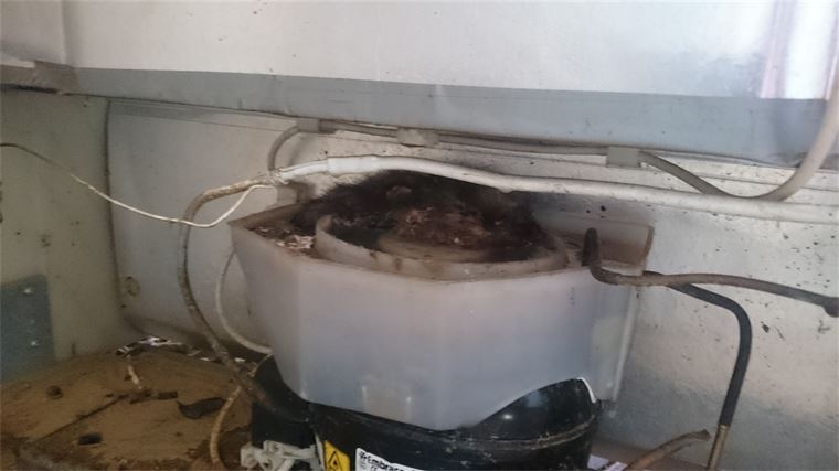 Das Innere eines Kühlschranks mit defektem Kompressor.