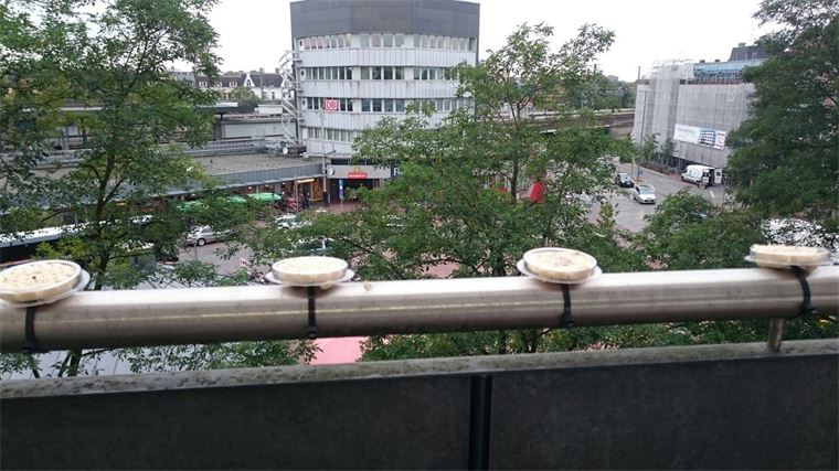 Blick auf eine Stadt von einem Balkon mit einem Gebäude im Hintergrund