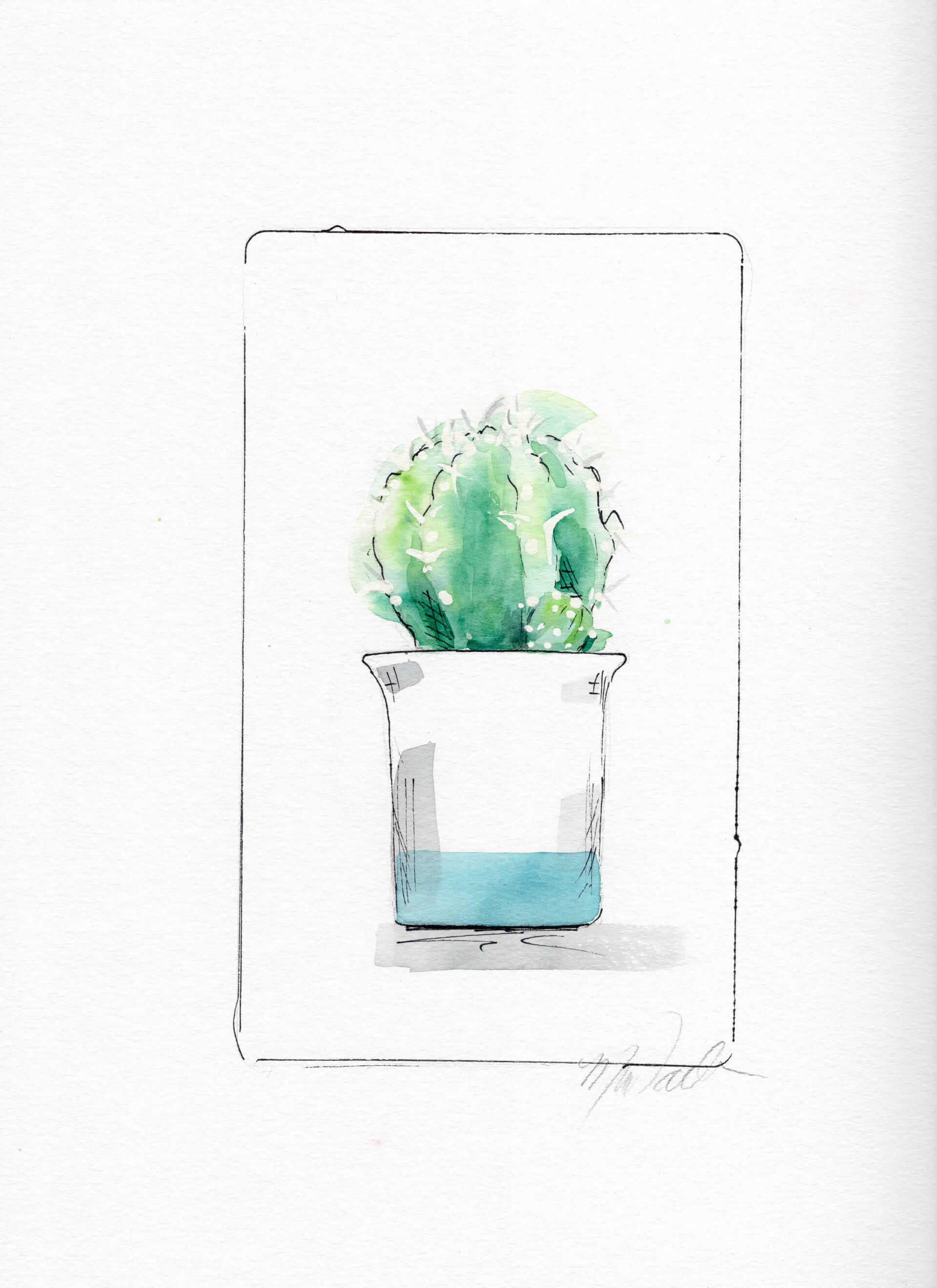 cactus custom illustrations commissions lease art home decor hotels