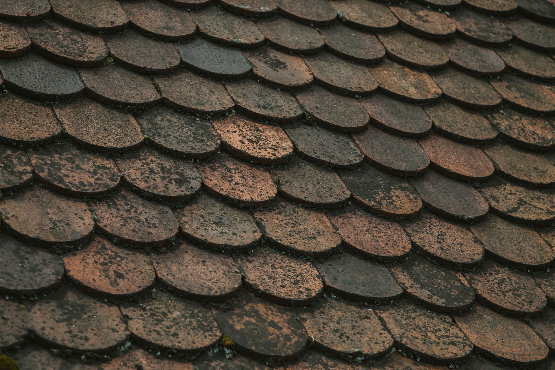 A close up of a roof with a lot of tiles on it.