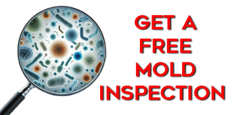 A magnifying glass filled with bacteria and the words `` get a free mold inspection ''.