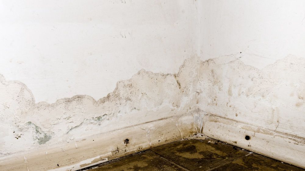 a corner of a room with a white wall and a tiled floor .