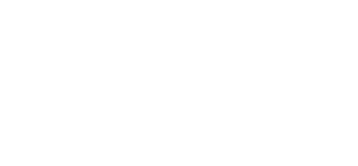 Palm Village Logo - Footer