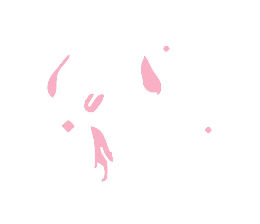 Cierra Scoops white logo