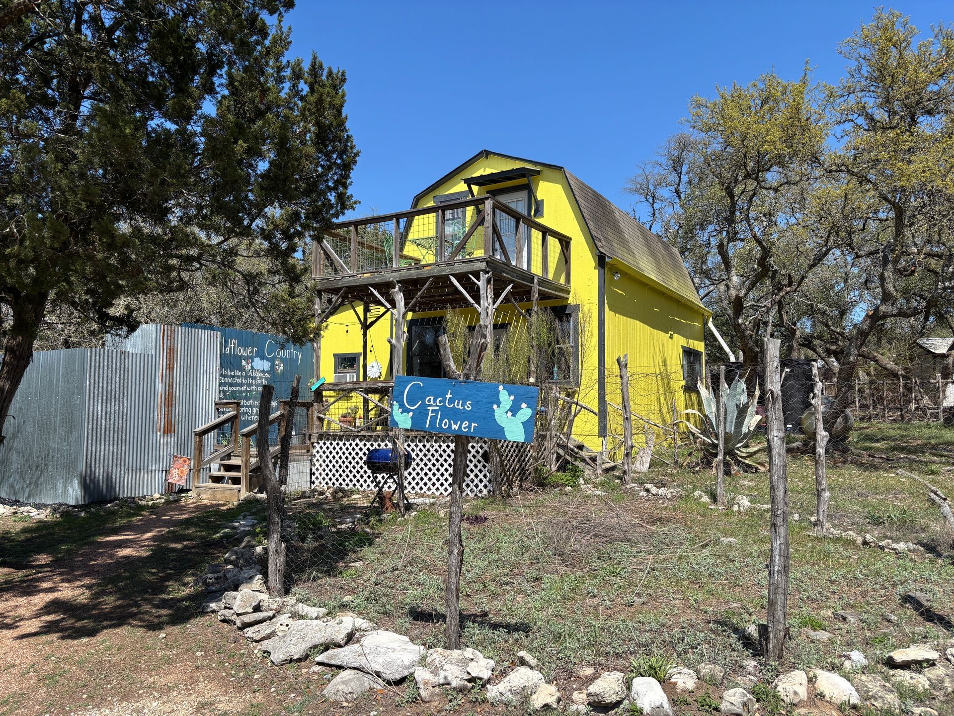 A close up of a white lily with a yellow center.