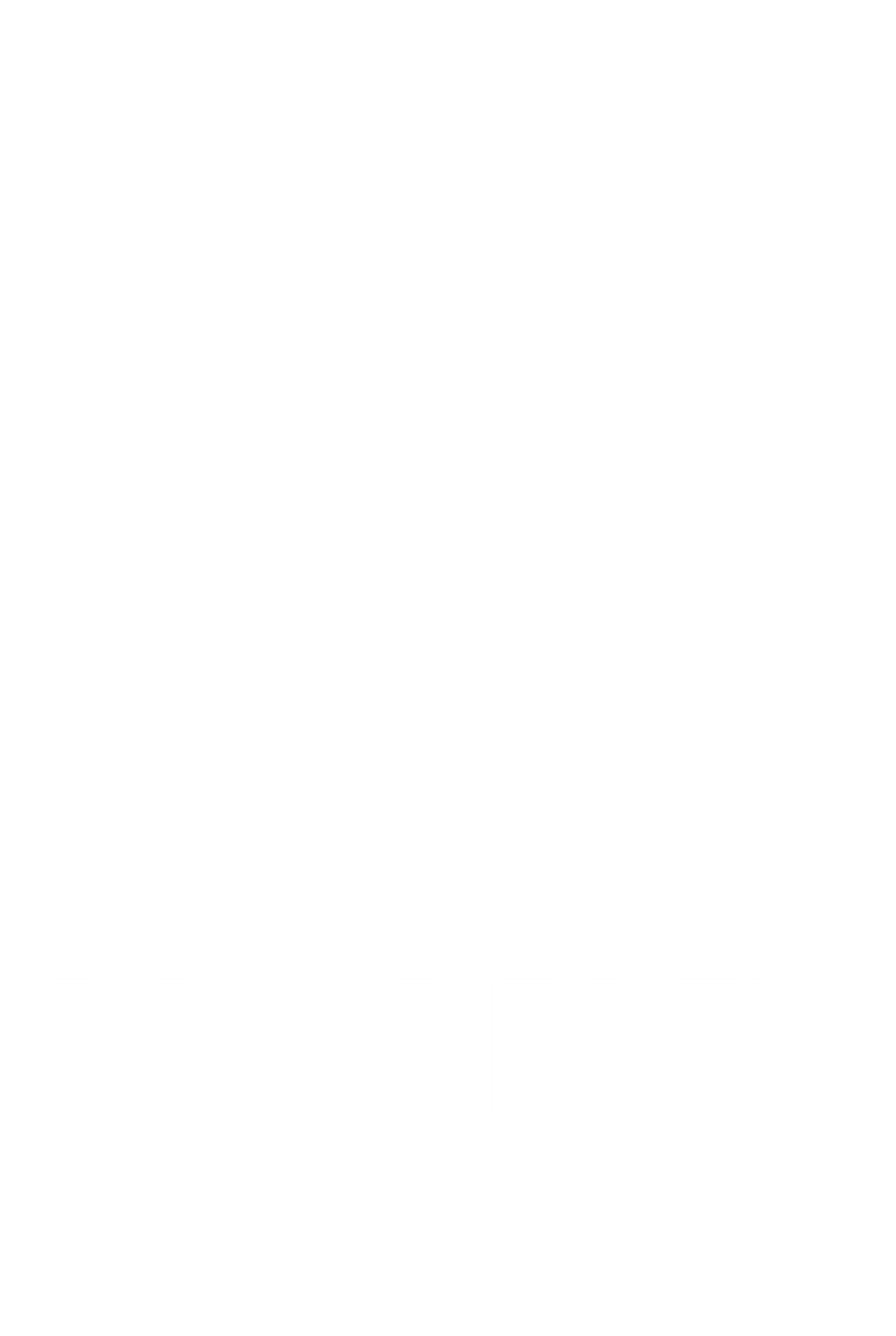 Company Logo - White - Click to return to the homepage