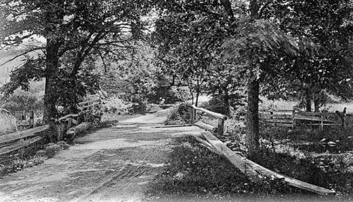 Dirt road through a forest with trees on both sides, and a wooden bridge.