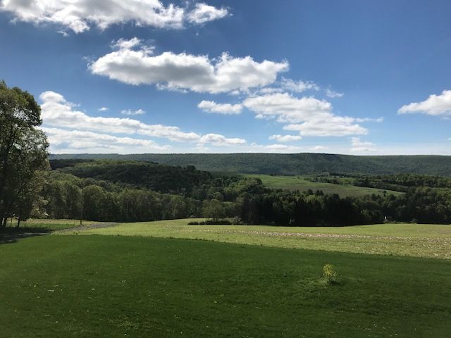  jneutzel forestry service cleared grove