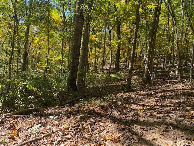 A path in the woods with trees and leaves on the ground.