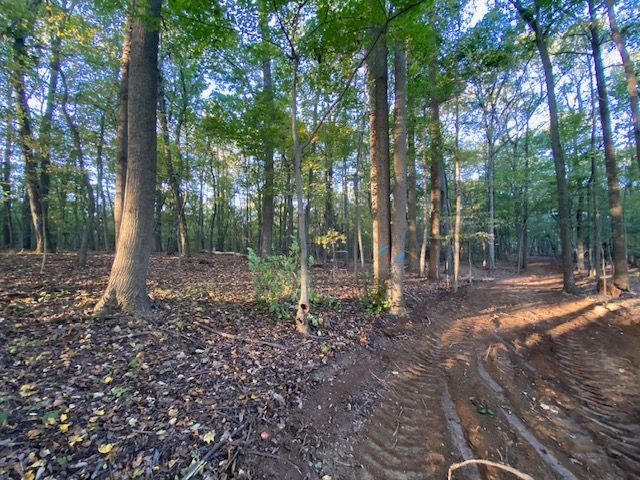  jneutzel forestry service  with clearing starting