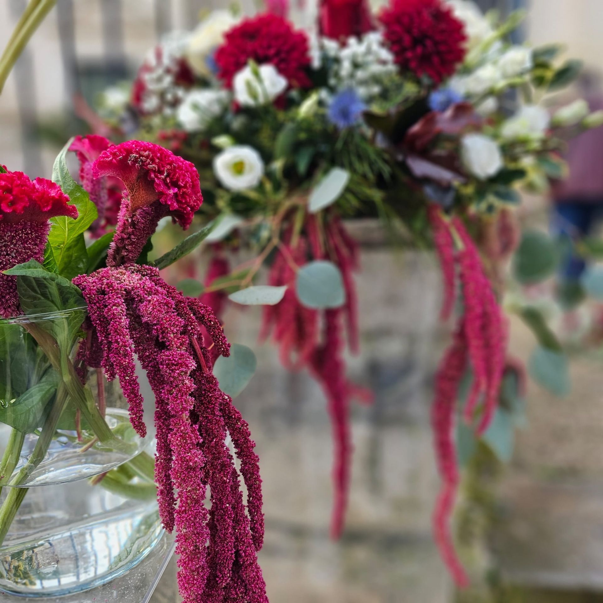 Primo piano di una composizione floreale in un secchio di metallo. Fiori rosso scuro, bianchi e blu con ciocche bordeaux a cascata.