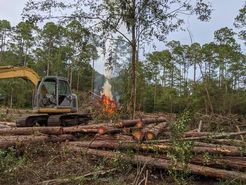 An aerial view of a logging operation in a forest.