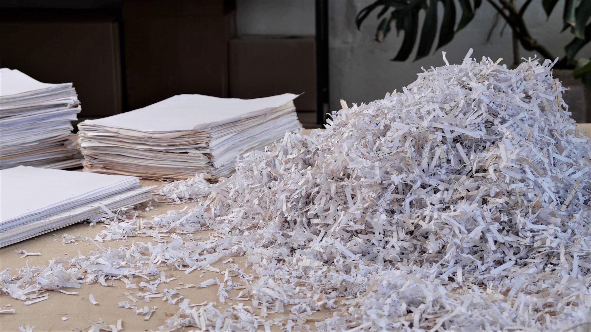 A large pile of shredded white paper sitting on a table next to stacks of uncut paper.