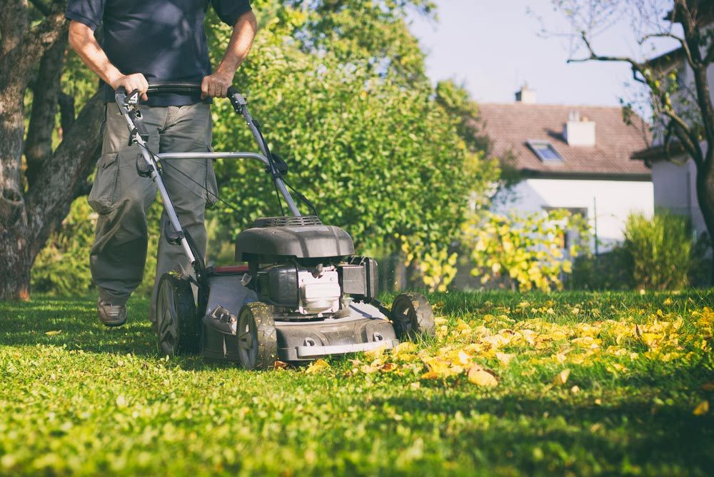 A Man is Mowing His Lawn With a Lawn Mower — Great Lakes Mowers & Chainsaws In Tuncurry, NSW