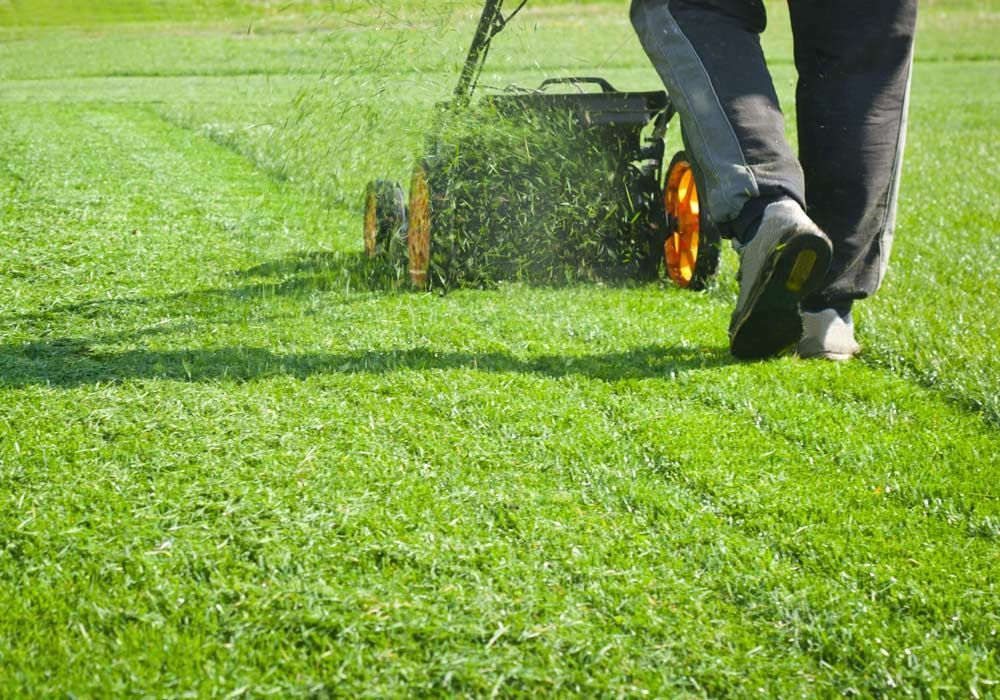 A Person is Mowing a Lush Green Lawn With a Lawn Mower — Great Lakes Mowers & Chainsaws In Pacific Palms, NSW