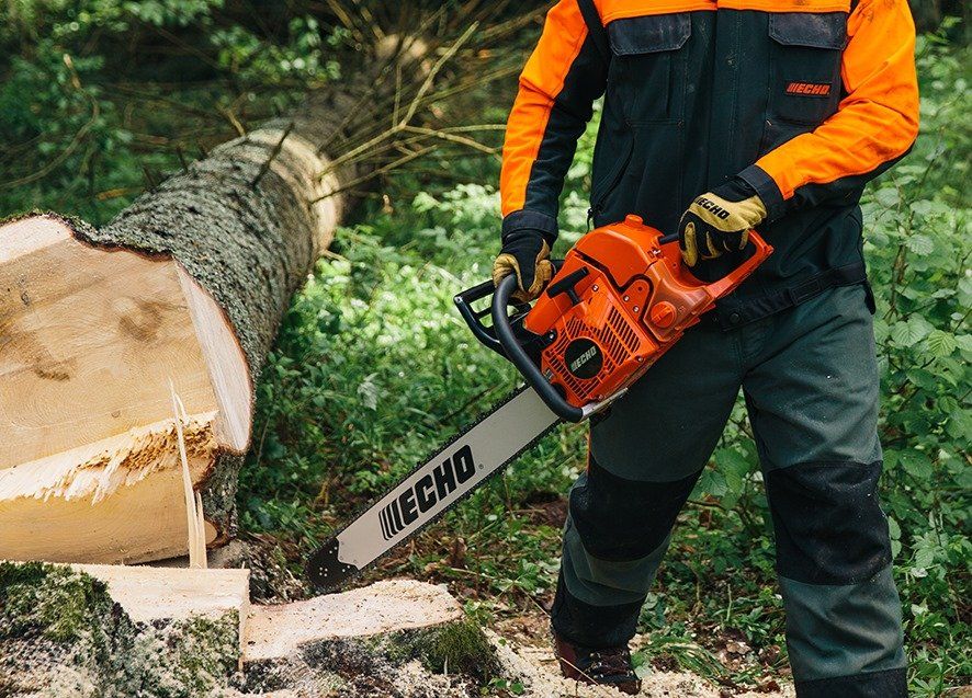 Man Cutting Trees Using Echo Chainsaw — Great Lakes Mowers & Chainsaws In Tuncurry, NSW