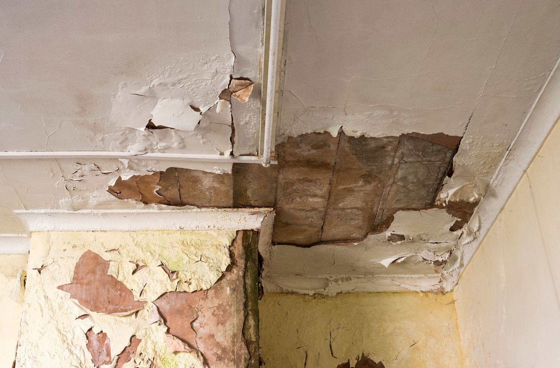 Peeling paint and plaster damage on a ceiling and wall corner, revealing the brown material underneath.