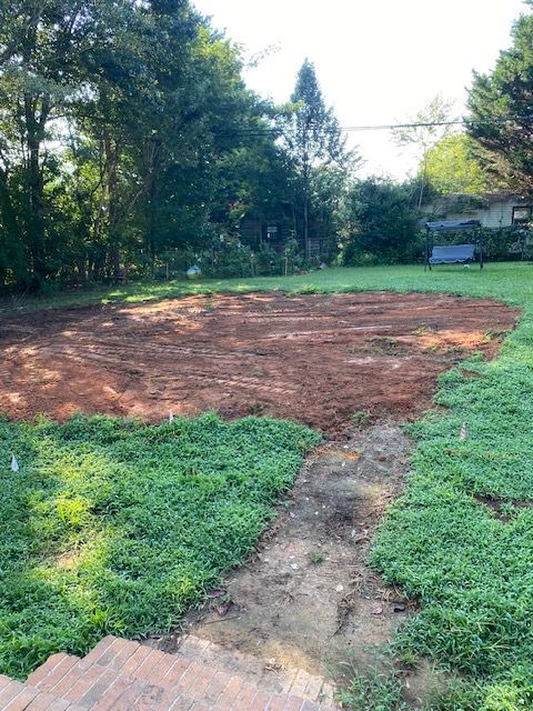 Cleared dirt area in a backyard, surrounded by green grass and trees.