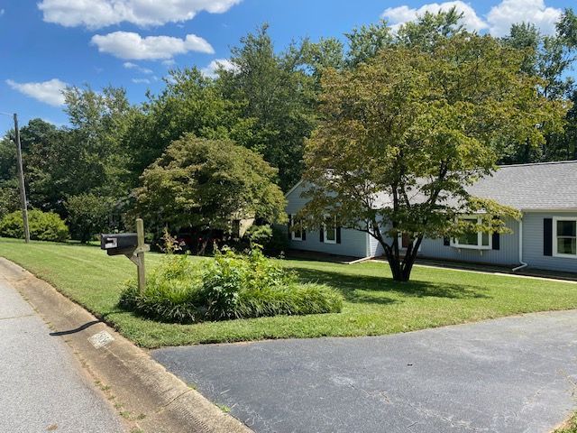 Lush green lawn with trees and a house on a sunny day. A mailbox is visible near a small garden.
