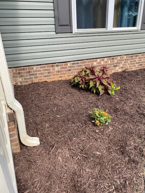 Mulched flower bed with two plants against a brick foundation and siding. A white downspout is on the left.