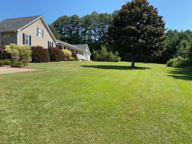 A house with a large green lawn, a tree, and a clear blue sky.
