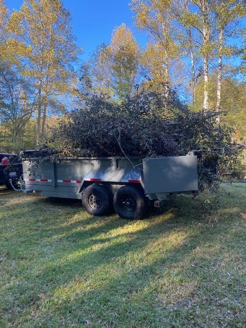 A trailer filled with tree branches parked on grass with trees in the background under a blue sky.