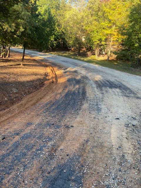Dirt road curving through trees; the road is shaded with tire tracks.