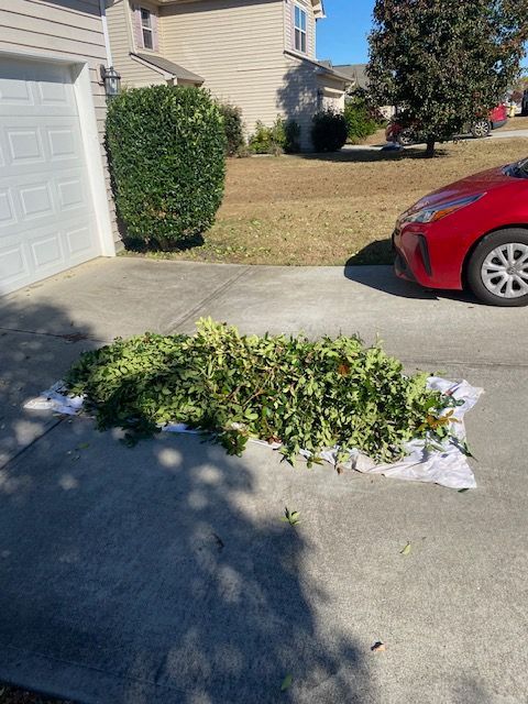 A pile of green tree branches on a white sheet on a driveway next to a red car and a garage.