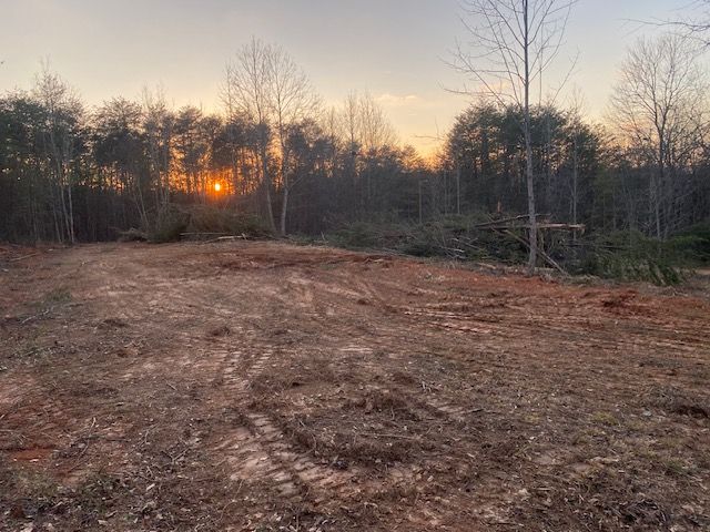 Clearing in woods at sunset. Orange sun behind trees; dirt ground in foreground.