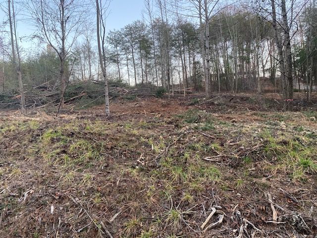 Clearing in a wooded area with bare trees and brush in the foreground.