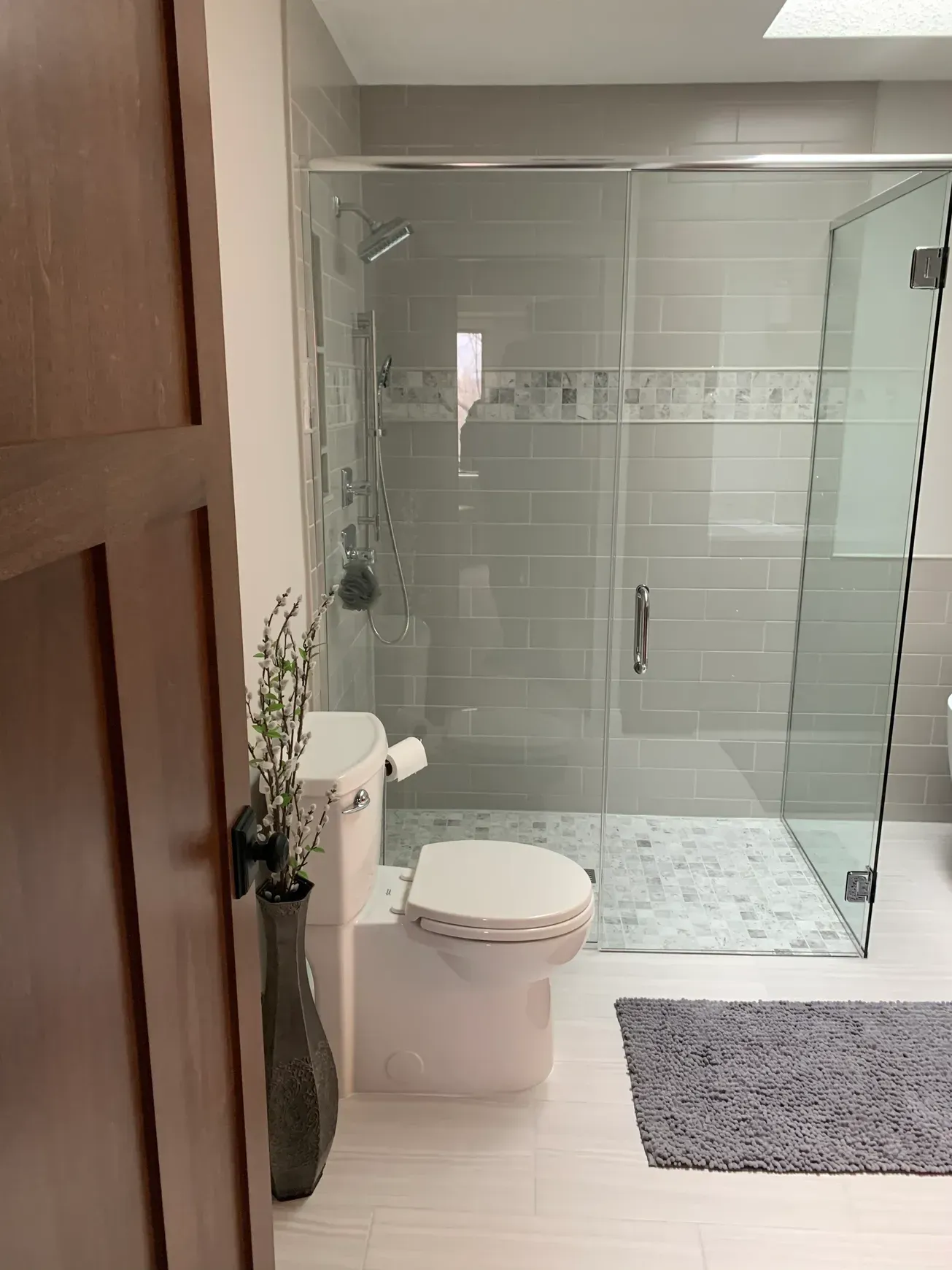 A bathroom with a toilet and a walk in shower.