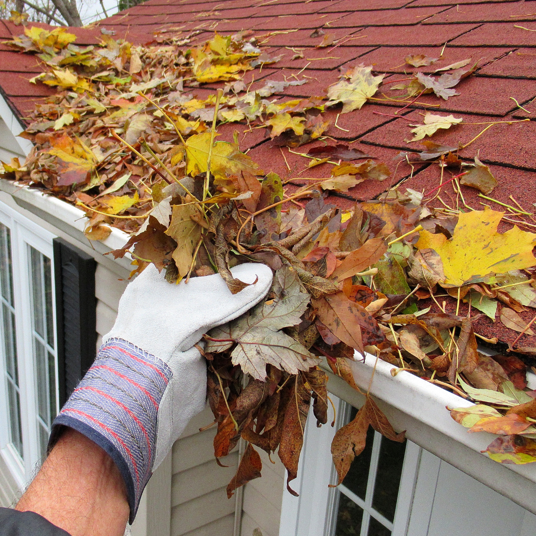gloved hand cleaning gutters