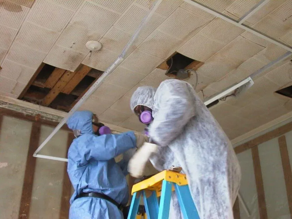 Two workers in protective suits removing ceiling tiles in a building.