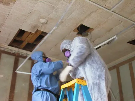 Two people in protective suits removing ceiling tiles; interior room, ladder.