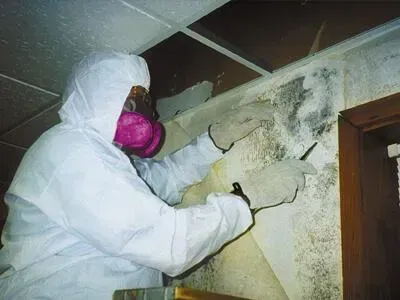 Person in white protective suit removes mold from a wall, wearing a respirator mask and gloves.