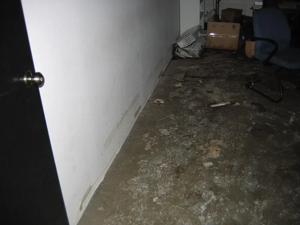 A damp basement corner with stained walls and debris-covered floor, near a door.