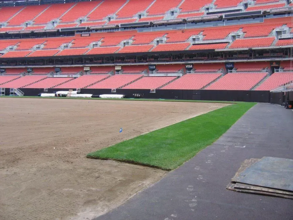 Empty baseball stadium with freshly laid green turf against a brown infield and orange seating.