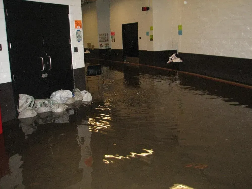 Hallway flooded with brown water, black doors on left and center, white walls.