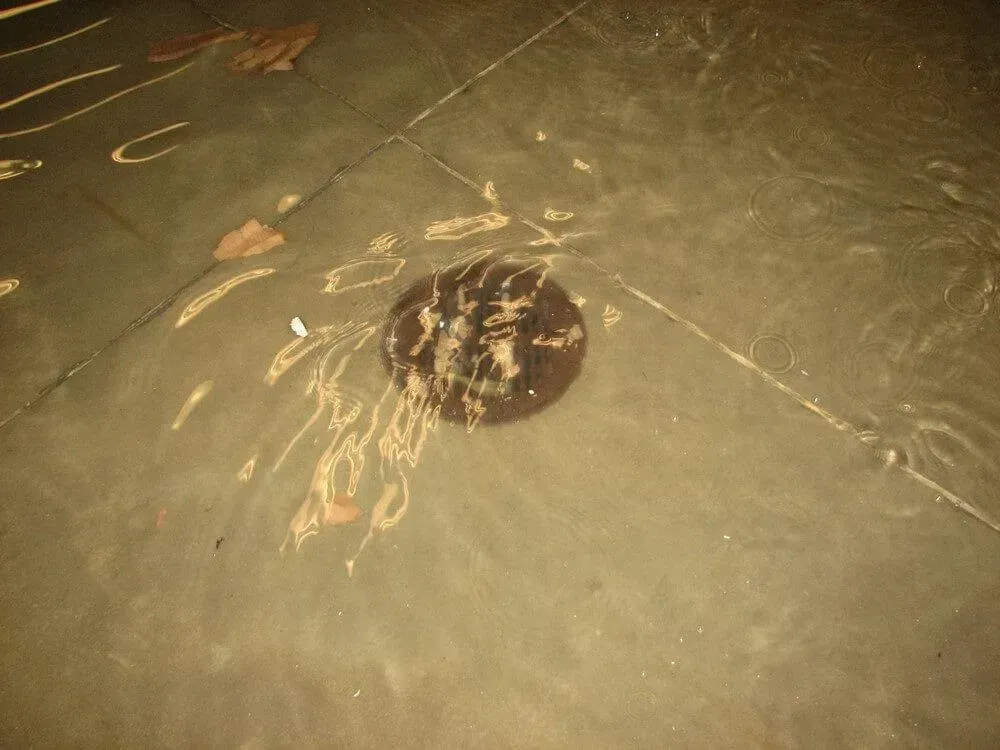 Waterlogged floor with drain cover, debris floating.