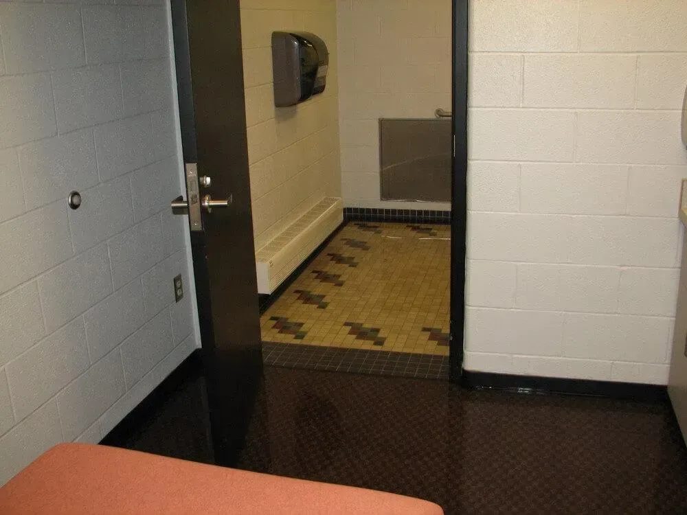 Dark doorway into a bathroom with white brick walls. Brown patterned rug visible, with brown and black floor.