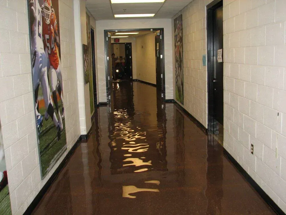 Long hallway with reflective, brown flooring and white brick walls, with doors on the right and posters on the left.