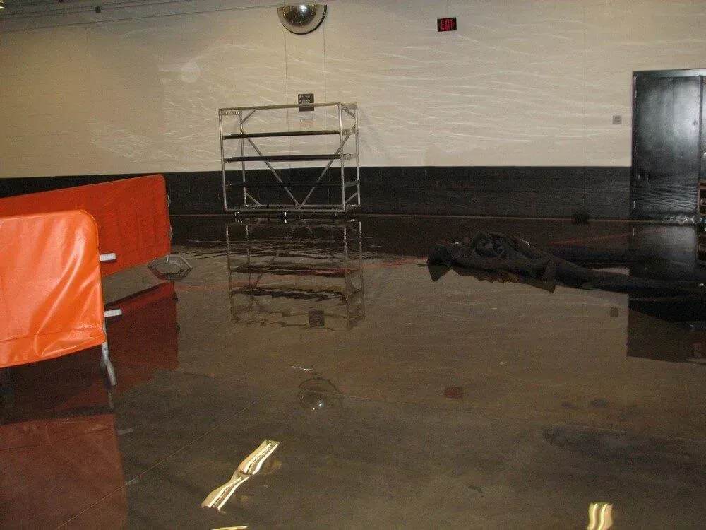 Room flooded with dark water; orange barrier, metal shelving, and dark door are visible.