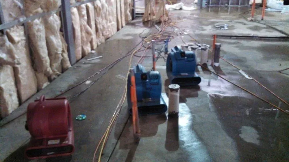 Flood damage cleanup: red and two blue air movers on wet floor, with exposed insulation and pipes.
