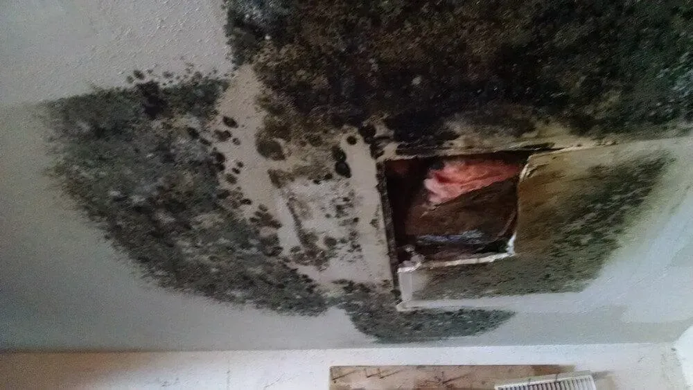 Ceiling with extensive dark mold growth around a vent.