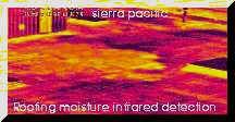 Infrared scan shows roofing moisture. Colors range from yellow to purple. Text: 