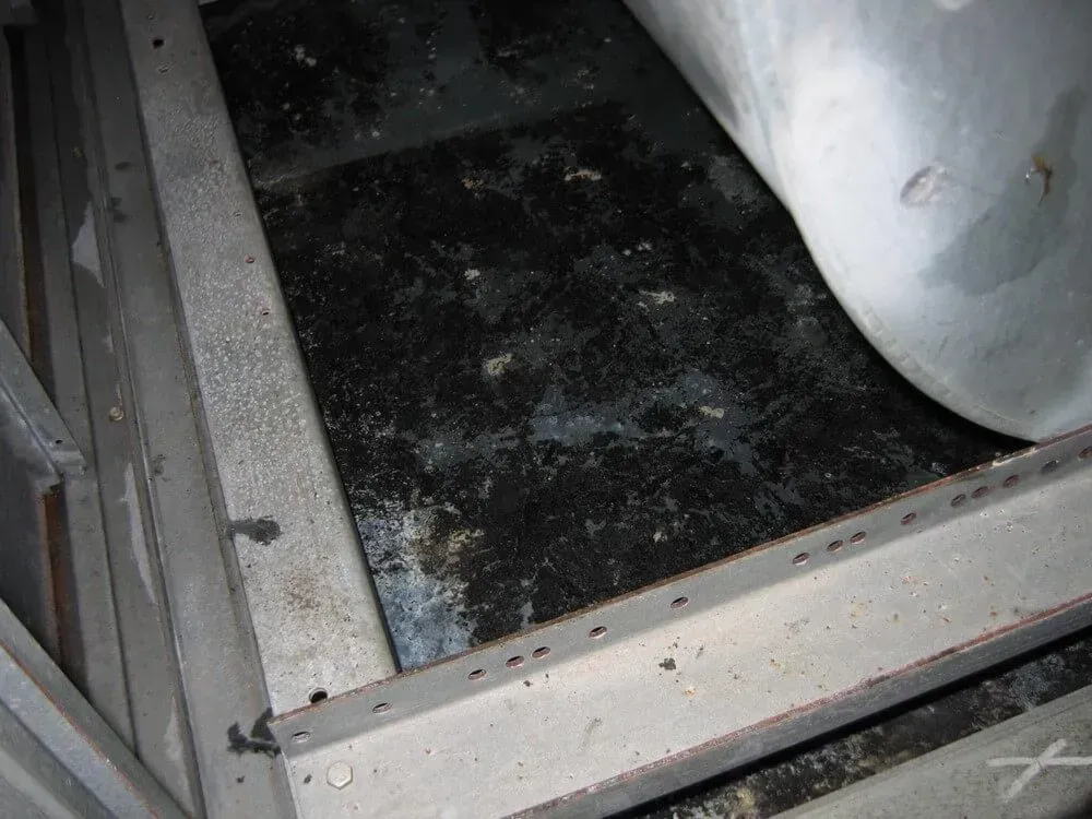 Moldy, black substance on the floor of a metal structure.