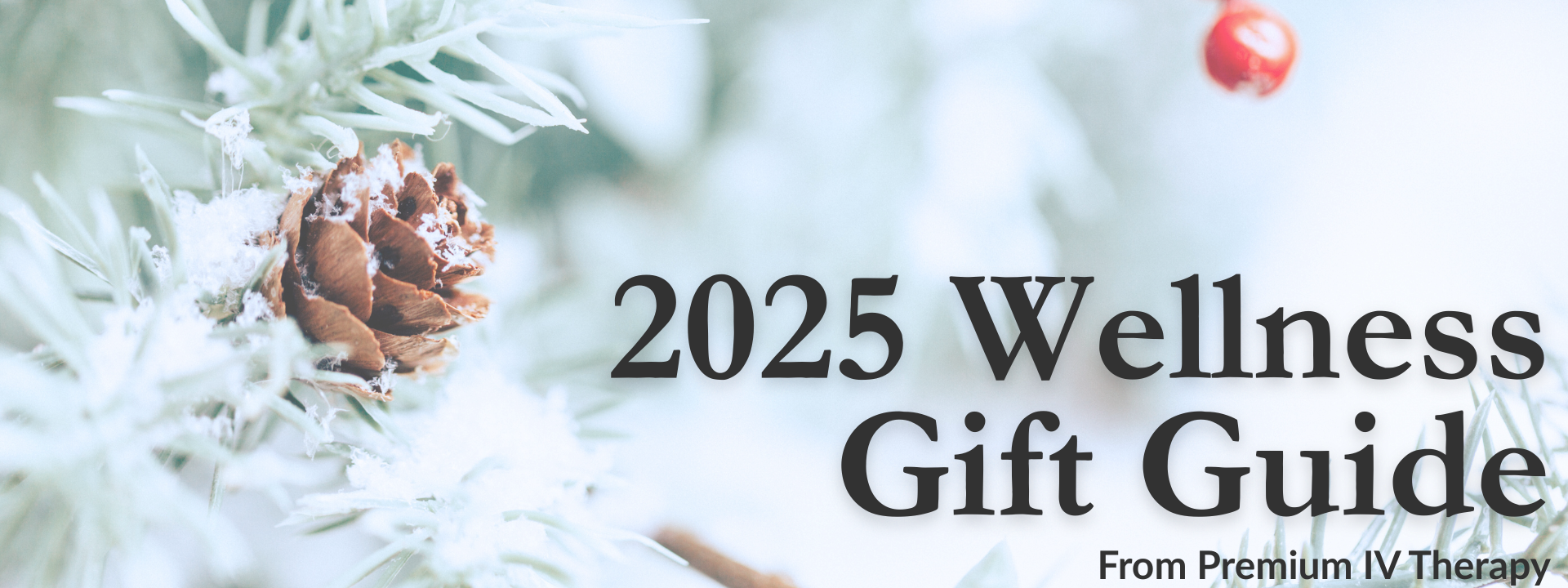 Flat-lay of a winter scene with snow-covered pine branches, pinecones, and red berries introducing the 2025 Wellness Gift Guide.